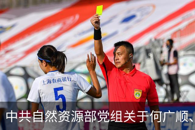 中共自然资源部党组关于何广顺、郭兆敏、张绍丽等同志职务任免的通知