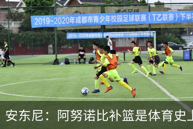 安东尼：阿努诺比补篮是体育史上最伟大时刻