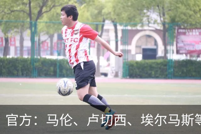 官方：马伦、卢切西、埃尔马斯等5人下轮意甲停赛