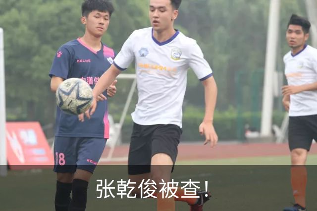 张乾俊被查！