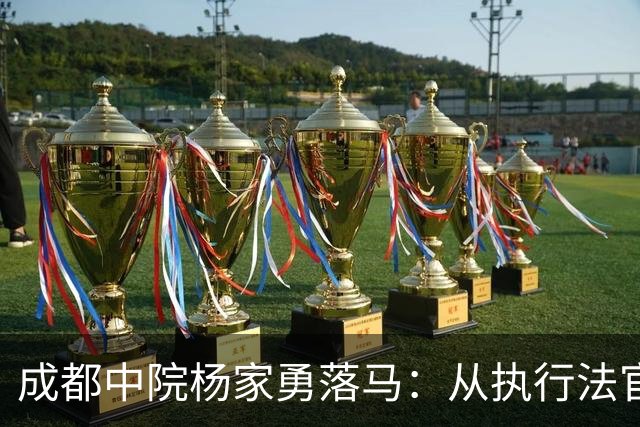 成都中院杨家勇落马：从执行法官到“后勤大管家”的迷失之路