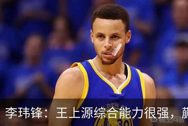 李玮锋：王上源综合能力很强，蒯纪闻、依木兰都很有特点