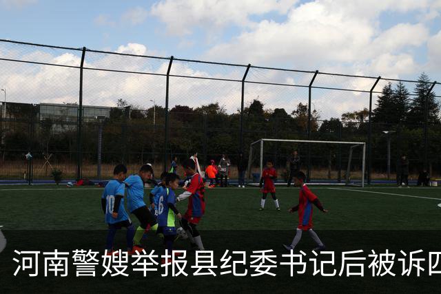 河南警嫂举报县纪委书记后被诉四罪