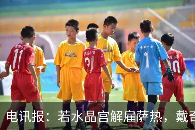 电讯报：若水晶宫解雇萨热，戴奇成新帅热门