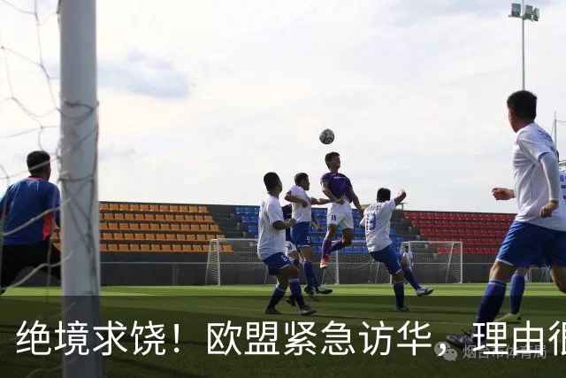 绝境求饶！欧盟紧急访华，理由很直接，阿斯麦再撑不住就要崩盘了
