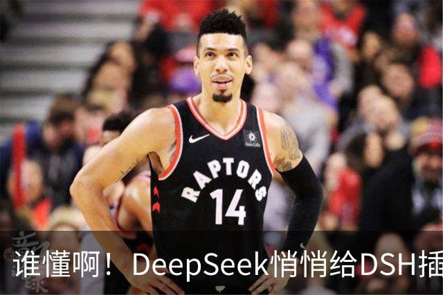 谁懂啊！DeepSeek悄悄给DSH插件开发者发钱了