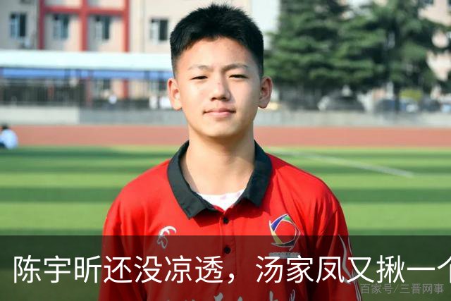 陈宇昕还没凉透，汤家凤又揪一个“精日”人员：竟然还是公司老板
