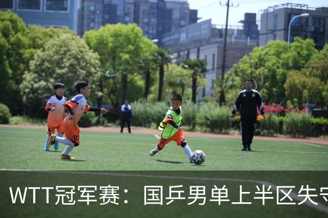 WTT冠军赛：国乒男单上半区失守！梁靖崑止步8强不敌韩国名将